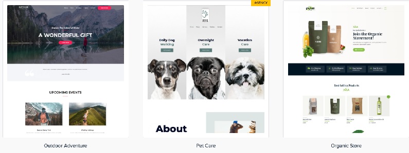 <span class="title-label" style="display:inline-block;padding:2px 8px;margin-right:8px;color:#ffffff;background:#e74c3c;border-radius:3px;font-size:12px;font-weight:bold;vertical-align:middle;">亲测</span>Astra Premium Starter Templates v4.5.2模板下载