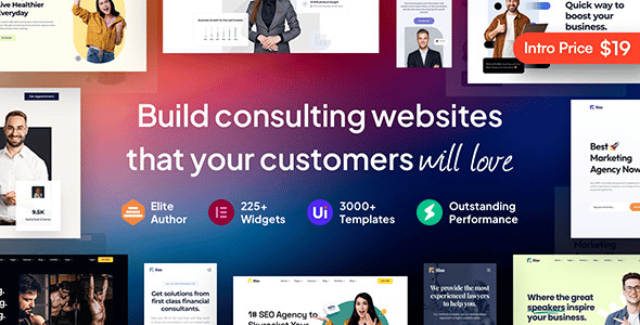 Rise v4.3.3 商业与咨询 WordPress 主题下载