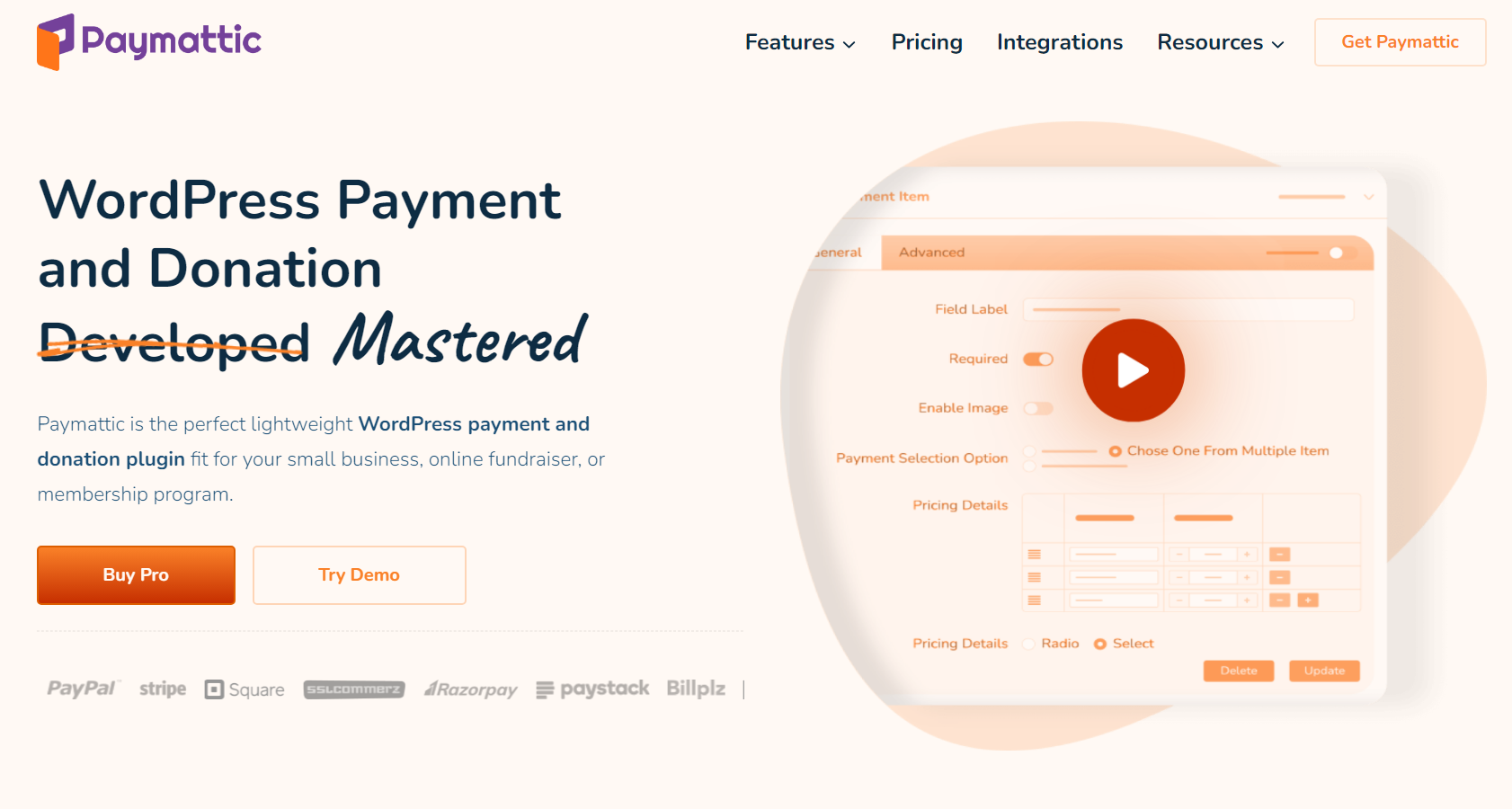 Paymattic Pro v4.6.20 WordPress 付款和捐赠插件下载